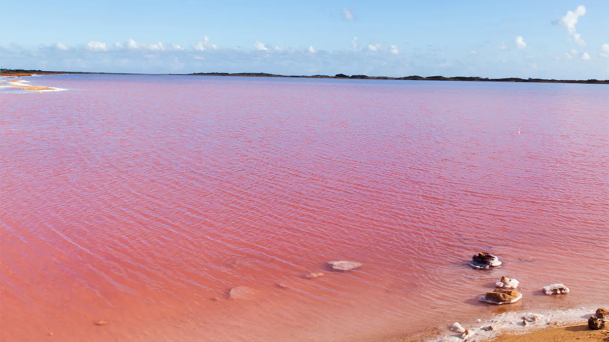 Las Cumaraguas: las salinas rosadas de Paraguaná y su atractivo turístico