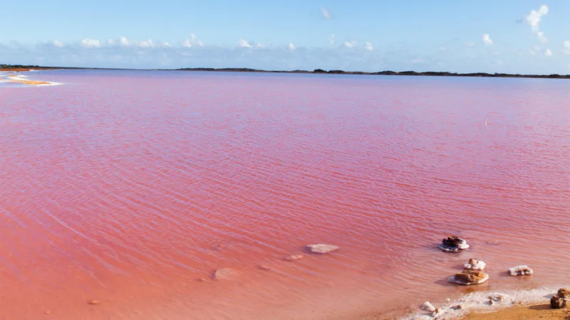 Las Cumaraguas: las salinas rosadas de Paraguaná y su atractivo turístico